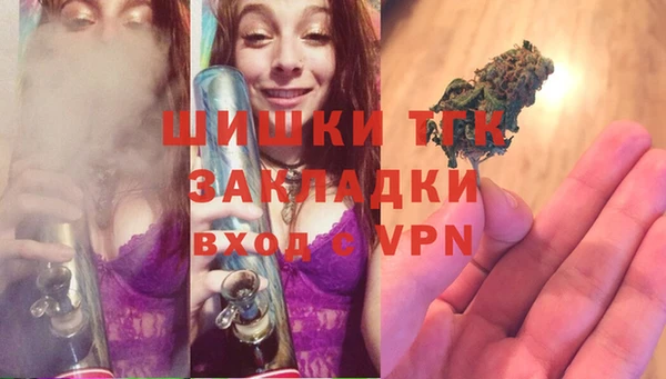 тгк Алексин