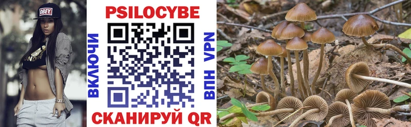наркошоп  Цимлянск  Псилоцибиновые грибы Psilocybine cubensis 